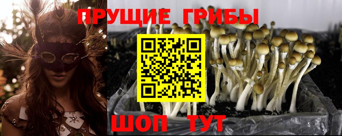 Бошки Шишки  ГАШ  Купить закладку  Ейск  Меф МЯУ МЯУ  Меф   Бошки Шишки  Вход с VPN 